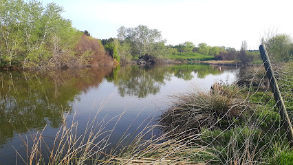 Laguna de la Recomba