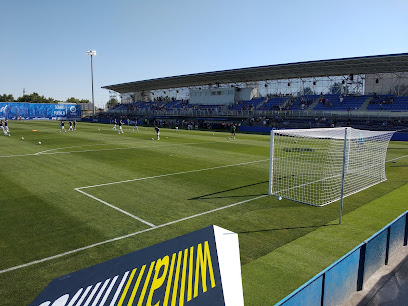 Estadio Fernando Torres