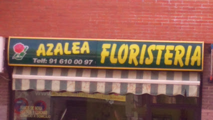 Floristería Azalea