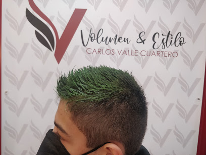 Volumen & Estilo ....Carlos Valle Cuartero