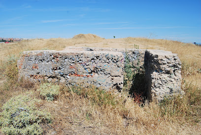 Fortines del Cerro Matabueyes