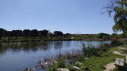 Parque Butarque