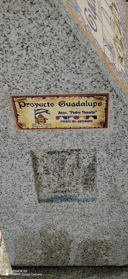 Camino Real de Guadalupe Km. 232