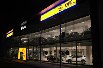 Opel Seliauto