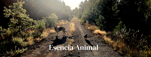 Esencia Animal Centro Canino