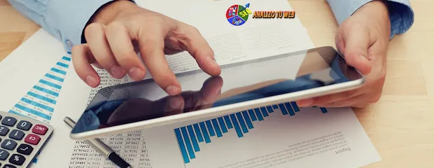 Analizo Tu Web