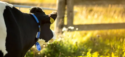 DeLaval España y Portugal - DeLaval Equipos, S.A.