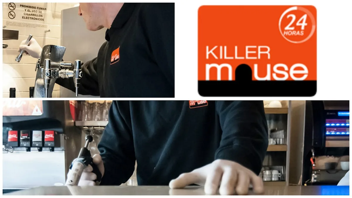 Killer Mouse - Control de plagas en Fuenlabrada, Madrid