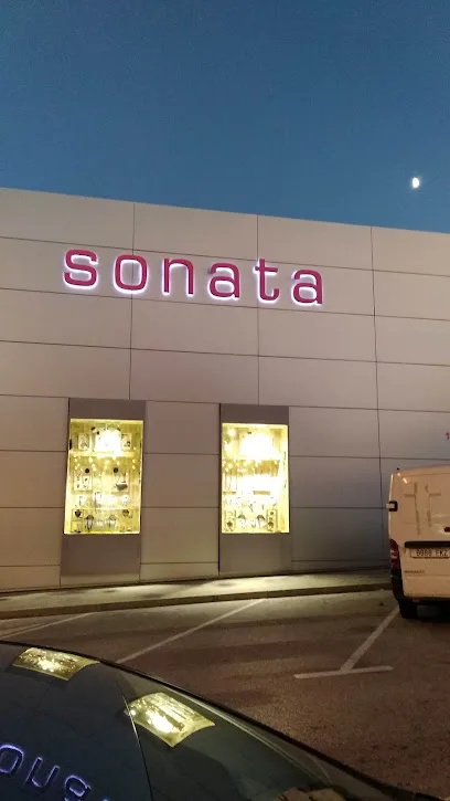 Sonatachic