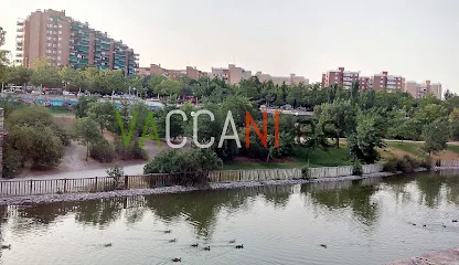 VACCANI